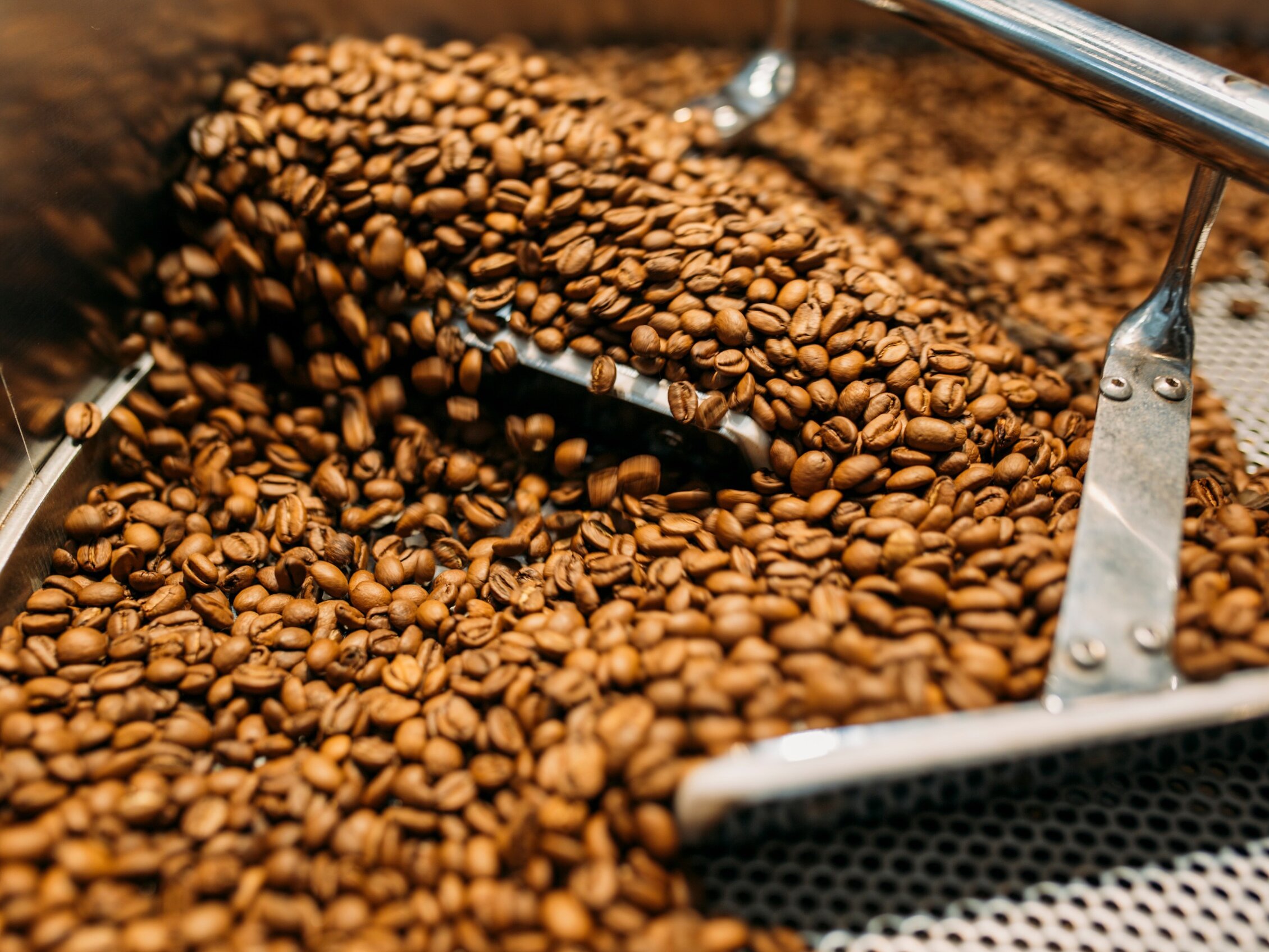micro roaster village micro roaster village
