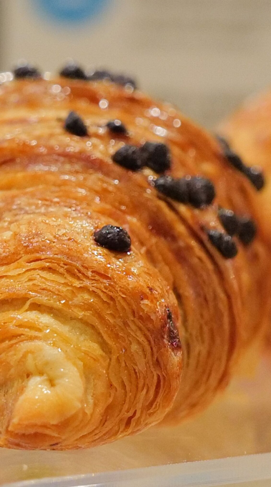 bakery sigep - brioche