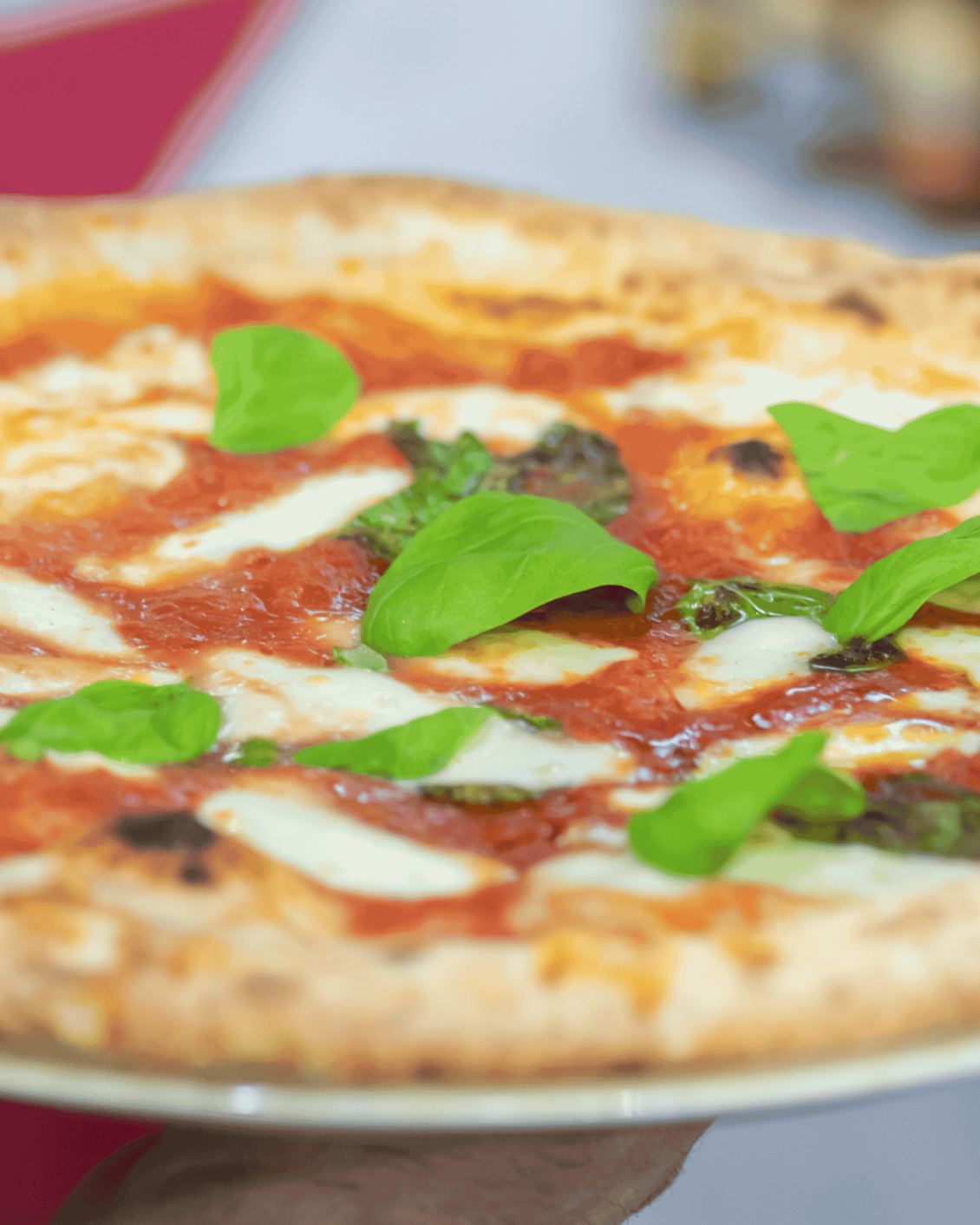 Pizza Arena - SIGEP World