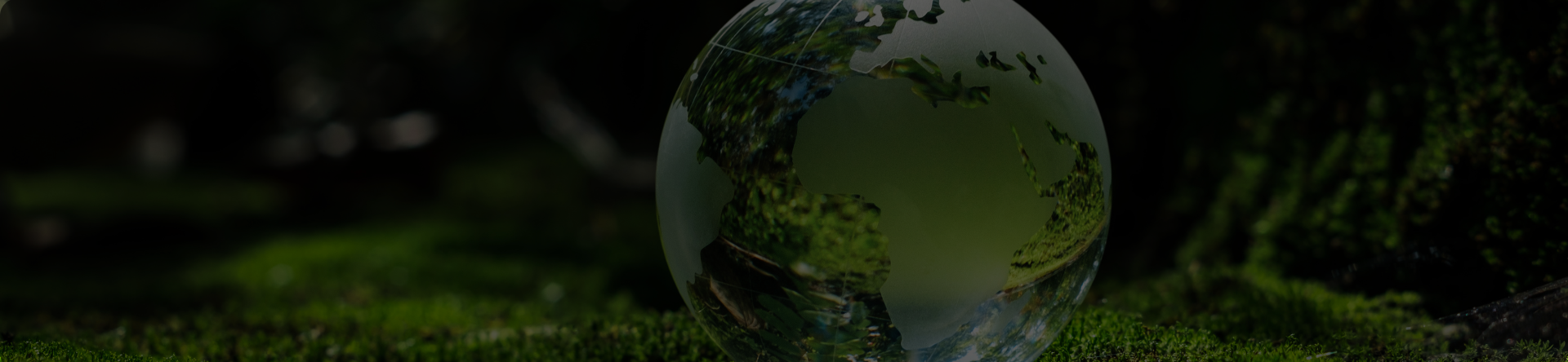 Turning air into food: is carbon capture the future?