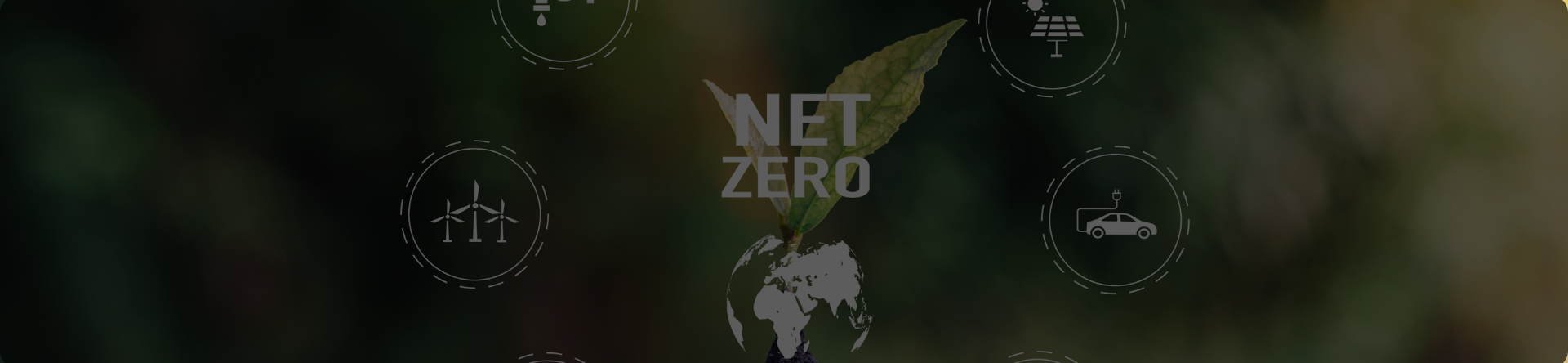 net zero strategy