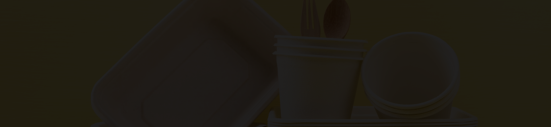 packaging compostabile per ristoranti