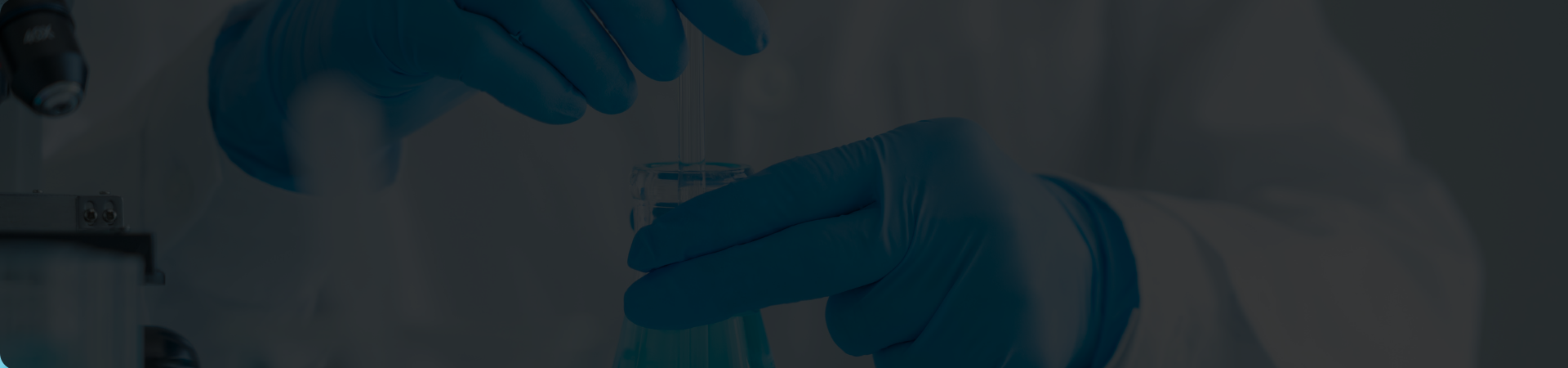 The future of HACCP compliance in restaurants is digital   The future of HACCP compliance in restaurants is digital
